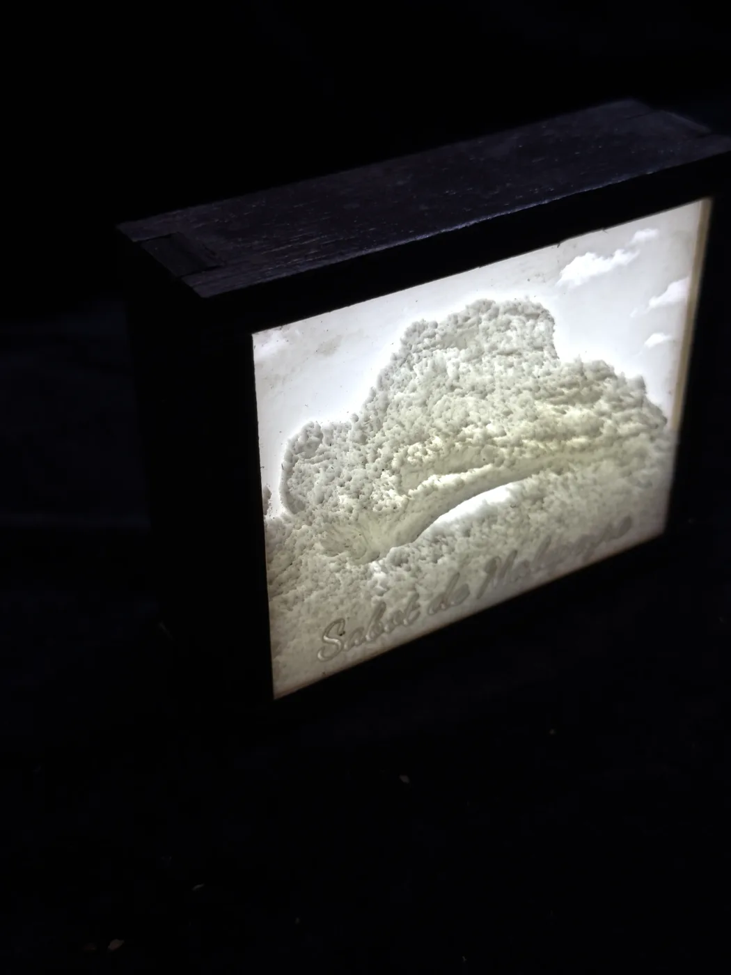 Photo de paysage transformée en sculpture lumineuse